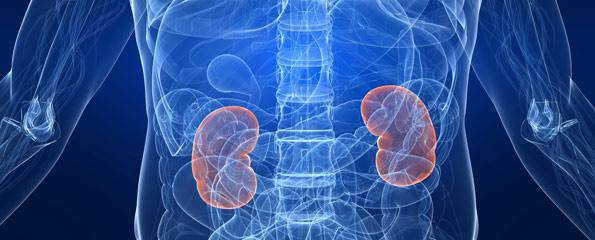 Kidney Cancer (Renal Cell Carcinoma and Nephroblastoma)