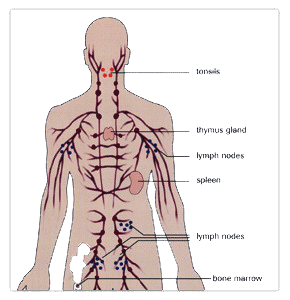 Lymphoma 